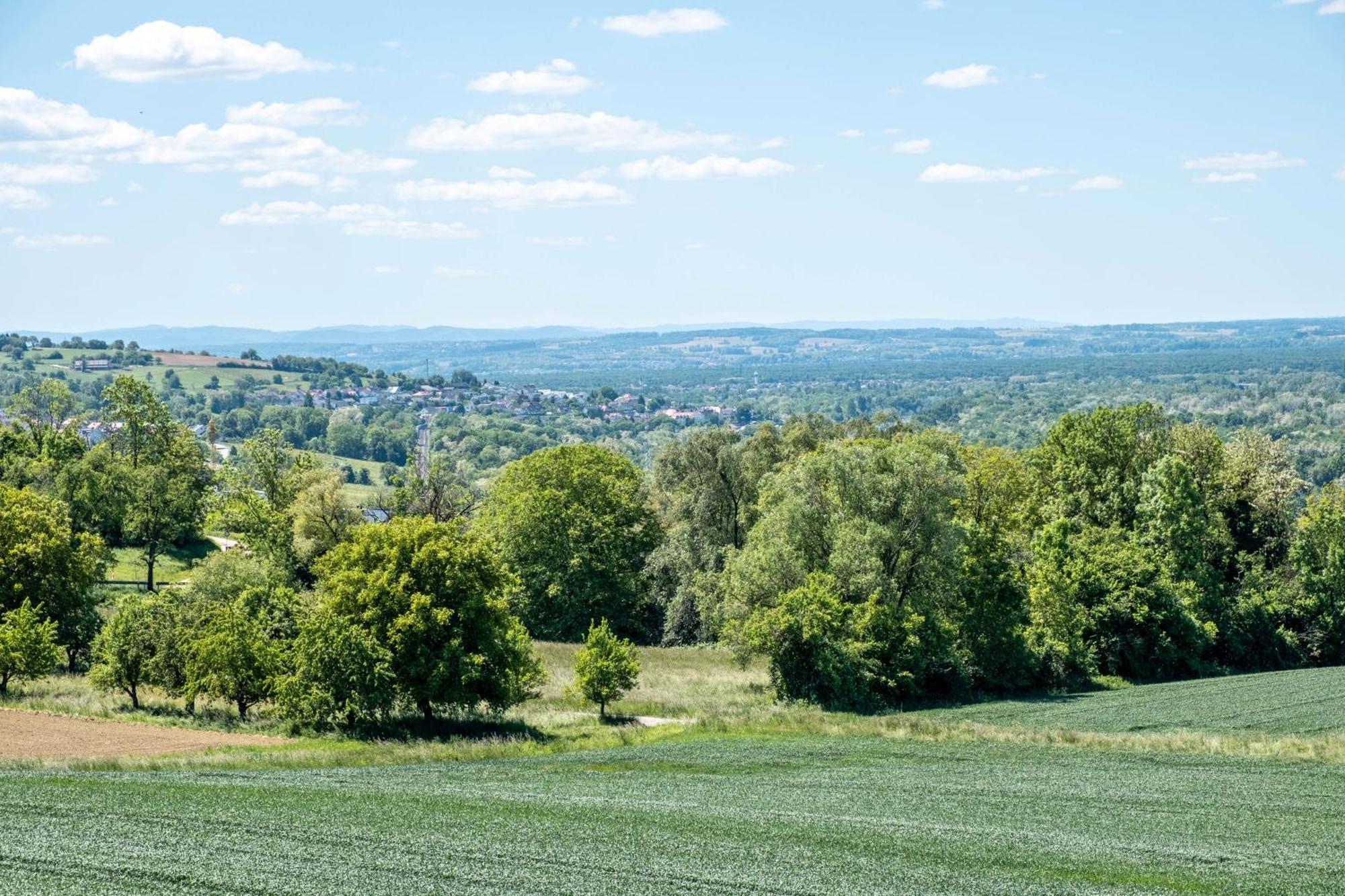 Pappelhof Leilighet Bad Bellingen Eksteriør bilde